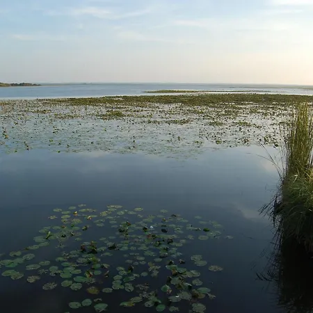 Jungle Avec Terrasse Et Piscine Chauffée Près De Nantes - Fr-1-306-1304