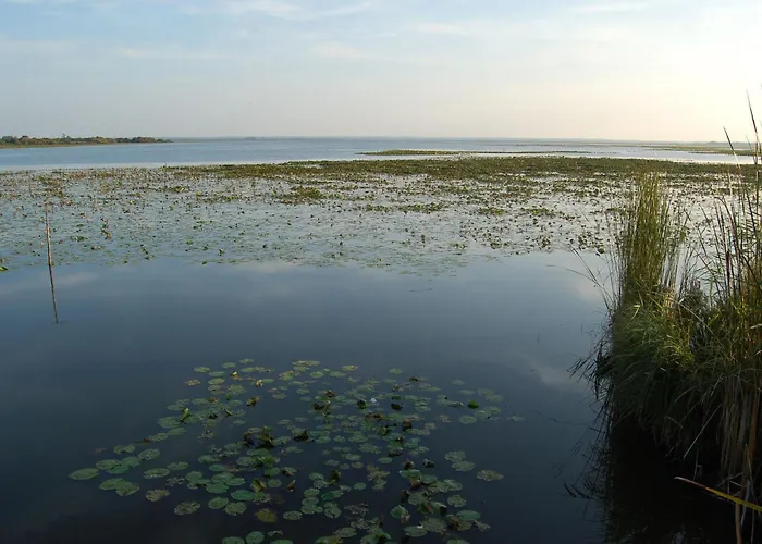 Jungle Avec Terrasse Et Piscine Chauffee Pres De Nantes - Fr-1-306-1304