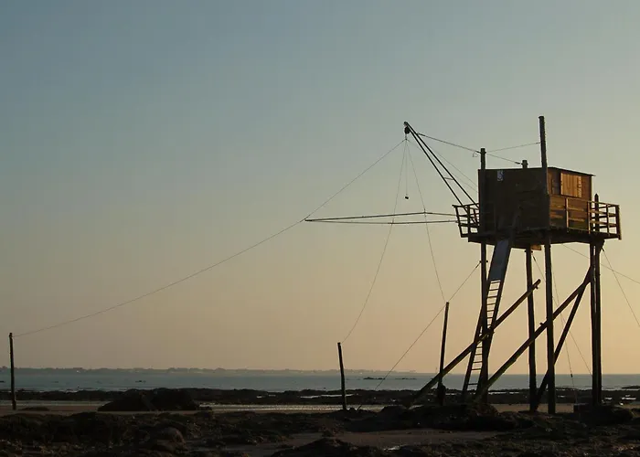 Jungle Avec Terrasse Et Piscine Chauffee Pres De Nantes - Fr-1-306-1304 *